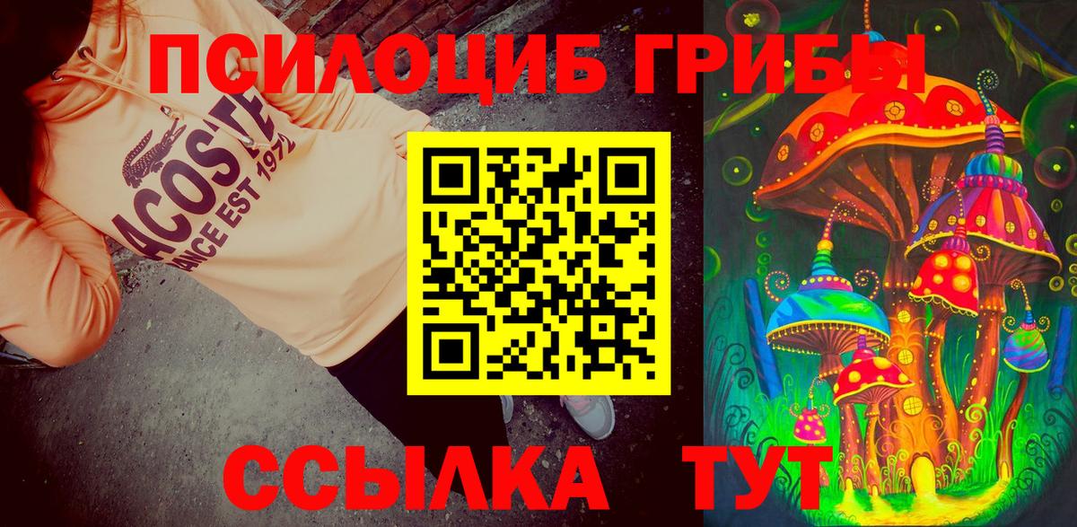 Валуйки  Галлюциногенные грибы Cubensis  Вход с VPN 
